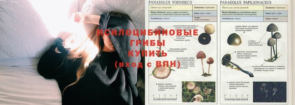 мефедрон мука Нефтекумск