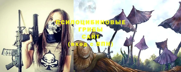 экстази Новодвинск