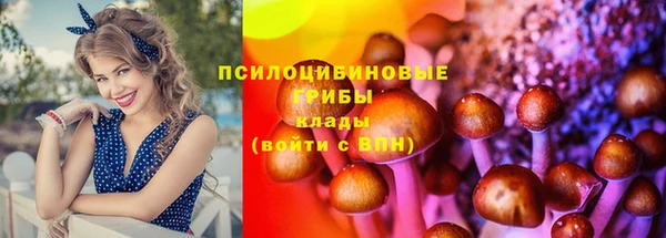 хмурый Нефтегорск